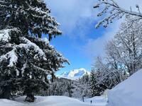 Return direction Mont Blanc en fin de journée Return direction Mont Blanc en fin de journée